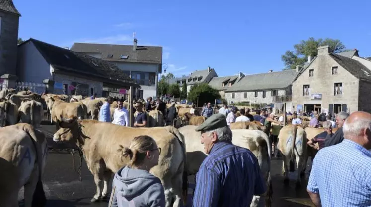 la Fête de l’Aubrac a accueilli sur le foirail de Nasbinals plusieurs centaines de personnes.