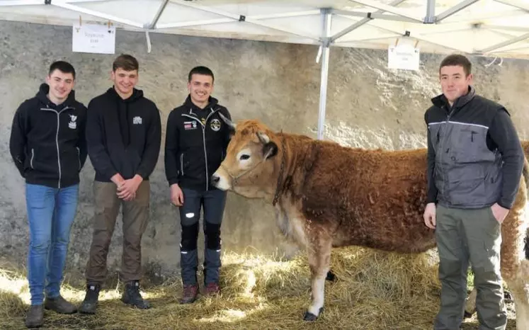 Antoine Meynadier, Théo Vieillescazes, Dorian Moulin et Victor Carrière sont quatre élèves du lycée Terre nouvelle en deuxième année de BTS de production animale. Jeudi 9 février, dans le cadre de leur PIC, ils ont organisé une journée dans l'enceinte du lycée pour présenter aux autres élèves l'atmosphère d'un concours.