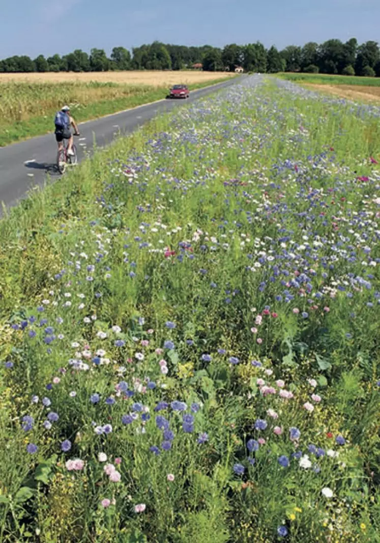 Surfaces agricoles, jardins particuliers et publics, abords des voies de circulation, zones industrielles et commerciales peuvent accueillir des végétaux riches en nectar et pollen.