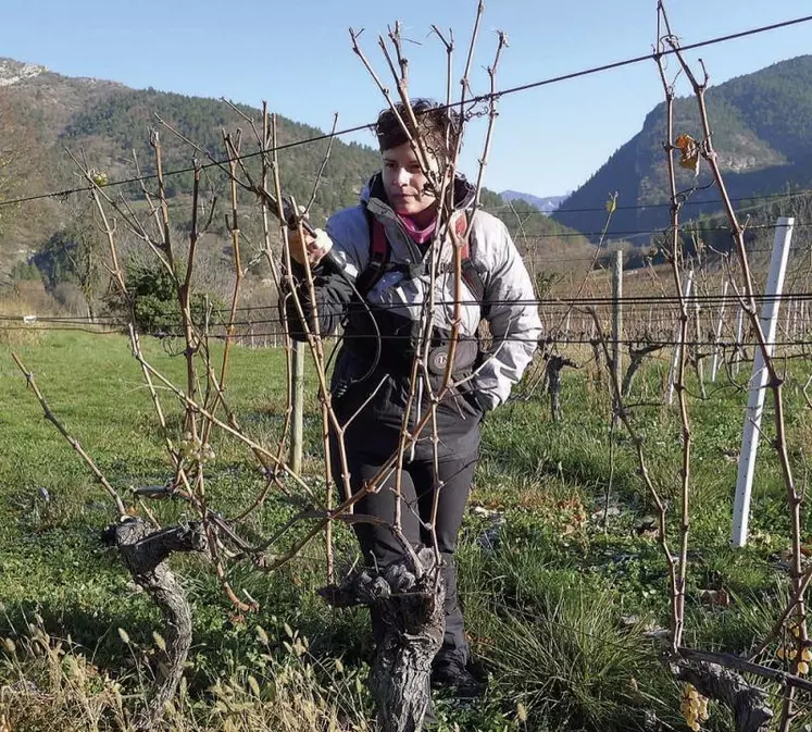 Hélène Goubet Ruchon, 33 ans, est installée en viticulture sur six hectares à Espenel dans le Diois (Drôme). Depuis le mois de juin, elle loue avec trois jeunes vignerons, 13,71 ha en appellation Clairette-de-die au mouvement Terre de liens.