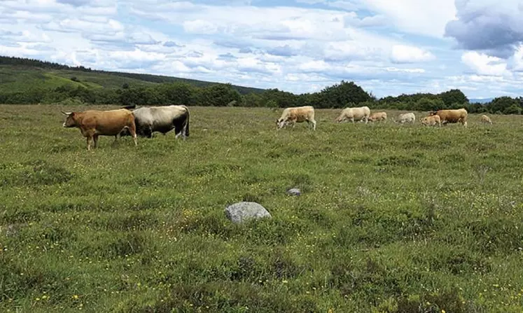 L’agriculture en bref, petit fascicule publié tous les trois ans, permet de suivre les évolutions par département de la filière. Cette année, l’agritourisme et les circuits courts y ont été développés pour la première fois.