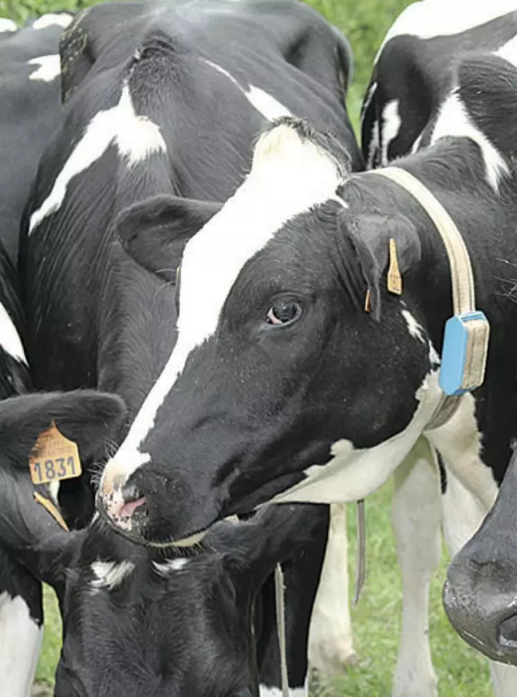 Pour les agriculteurs avec le même numéro Pacage en 2014 et 2015, le montant est un pourcentage des paiements au titre de la campagne 2014 : jusqu’à 45 % d’APLM.