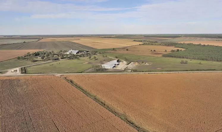 Nuffield France a présenté le 6 décembre, dans les locaux du réseau des chambres d'agriculture France (Apca), à Paris, les contributions qu'elle a récompensées en 2019 et 2020. Et si une partie de l'avenir de l'agriculture passait par un aggiornamento et l'élevage d'insectes ?