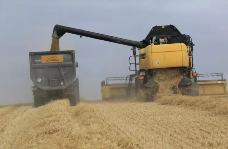 Les récoltes s’annoncent très mauvaises, notamment pour le blé.