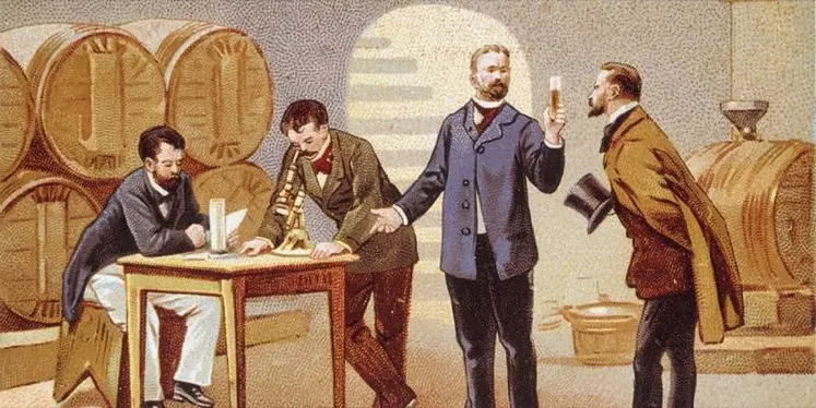 À l'occasion du bicentenaire de sa naissance, retour sur les principales découvertes de Louis Pasteur au bénéfice de l'agriculture, mises en lumière par l'académicien Erik Orsenna.