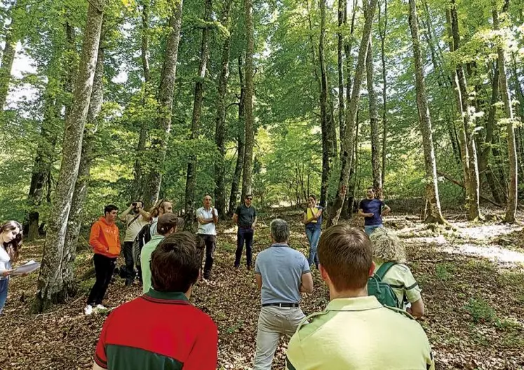 Vendredi 18 novembre, le CNPF, en partenariat avec le PNR Aubrac, a convié les propriétaires forestiers privés à une journée d'information sur la gestion des parcelles de forêts et les aides possibles auxquelles ils peuvent prétendre pour les entretenir.