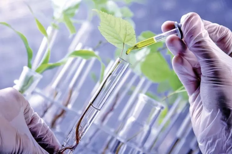 La région Auvergne-Rhône-Alpes est l’un des pôles majeurs de la chimie du végétal en France avec des acteurs académiques tels que l’Institut de chimie de Lyon et de Grenoble ou des entreprises comme Michelin, Greentech ou Solvay, qui développent les molécules de demain pour remplacer les énergies fossiles.