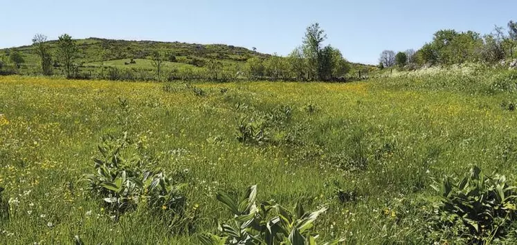 L’offre de formation de la chambre d’agriculture de Lozère s’enrichit régulièrement et s’adresse aussi aux salariés agricoles.