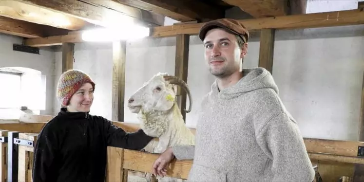 Au coeur du massif du Sancy, Noémie Guittard et Marc Persiani élèvent une cinquantaine de chèvres Angora dans la pure tradition d'un métier en perdition.