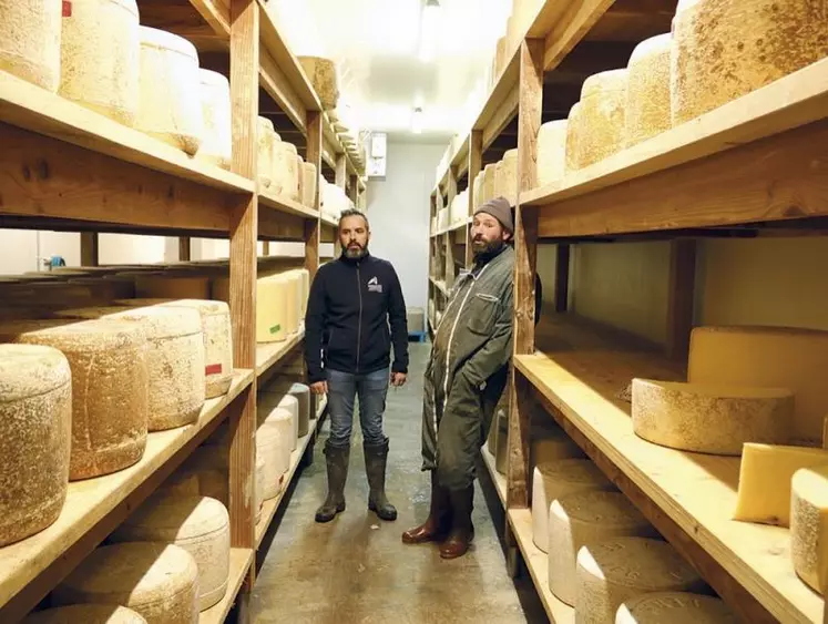 Le Gaec Merle transforme plus d'un million de litres lait en AOP cantal et salers. Avec la maîtrise fromagère et d'affinage. Visite de la stabulation à la cave.