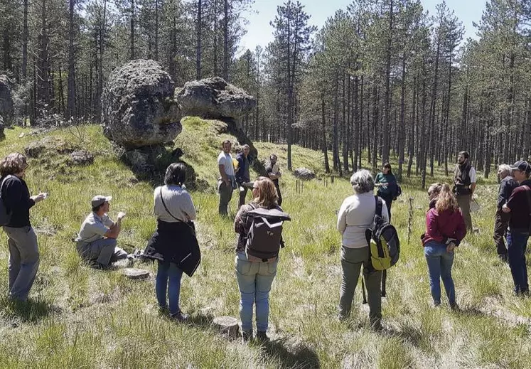 Après deux éditions en 2018 et 2021, le parc national des Cévennes (PNC) et le centre régional de la propriété forestière (CNPF) ont organisé une nouvelle édition du Sylvotrophée à l'automne. L'occasion de mettre en lumière les forêts du territoire et leurs gestions durables.