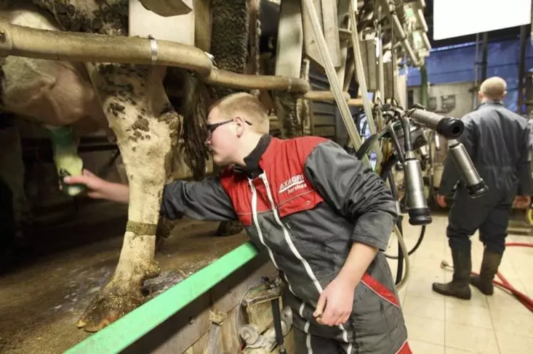 Les services de remplacement et Agriemploi Lozère font face à un inédit manque de personnel, alors que la demande, elle, augmente. Explications.