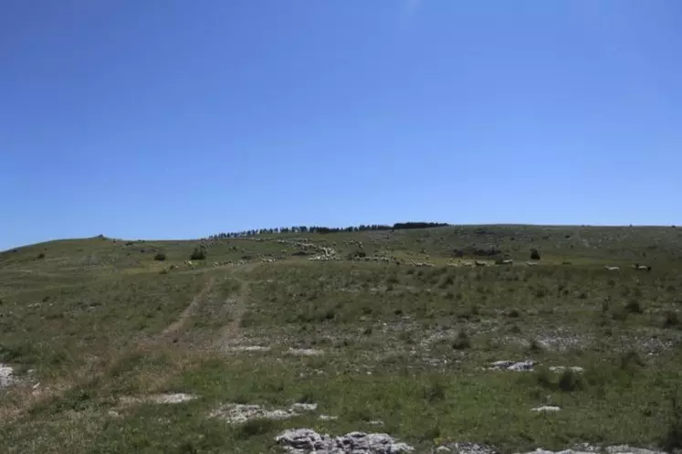 Jeudi 21 janvier, dans les locaux de la Safer Lozère à Mende a eu lieu le premier comité technique de l'année 2021. L'occasion de faire le bilan de l'année écoulée.