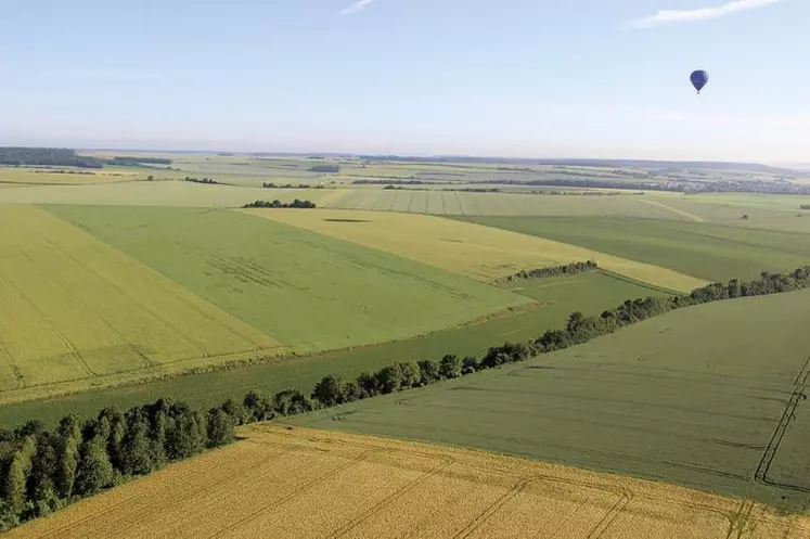 Pour la prochaine Pac, les Régions de France demandent que certaines mesures agroenvironnementales (MAEC) soient distribuées indépendamment des surfaces concernées. Un changement qui leur permettrait d'en conserver la maîtrise dans la prochaine programmation.