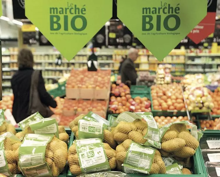 Les légumes et les fruits restent les denrées bio les plus consommées par les Français.