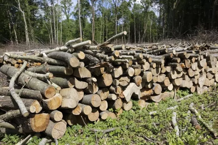 Bois-énergie, agrivoltaïsme, méthanisation… l’Inrae a fait le point le 28 janvier sur les travaux de recherche que mène l’institut sur les énergies renouvelables en agriculture.