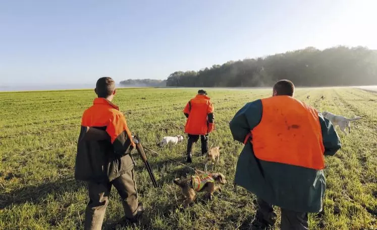 La fédération de chasse de Lozère a décidé, depuis plusieurs années déjà, de mettre l'accent sur la sécurité et la formation pour que la chasse se passe le mieux possible.