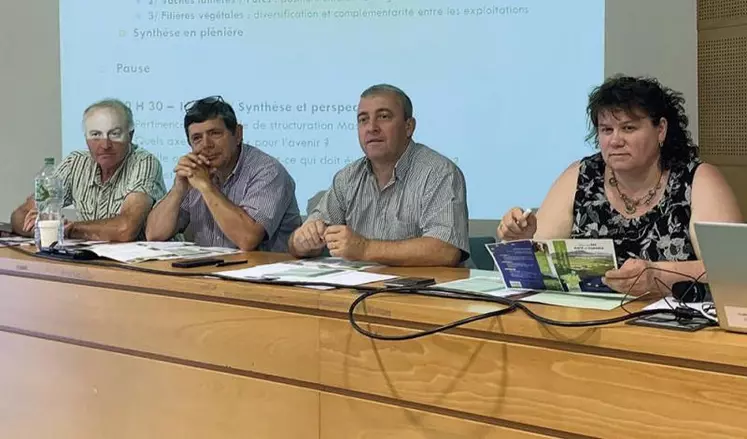 De gauche à droite : Patrick Escure (Cantal) ; Didier Ramet (Bourgogne), Patrick Bénézit et Christine Valentin.