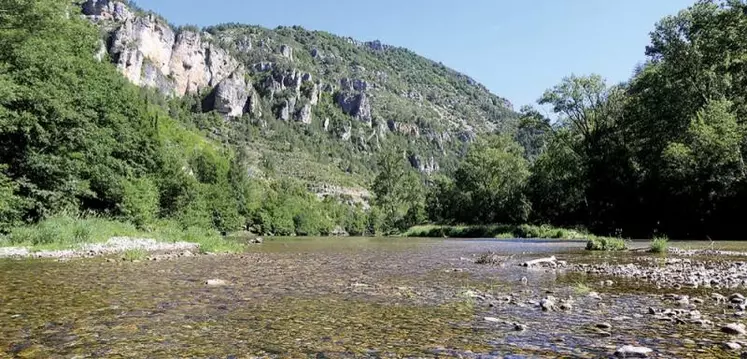 Deux semaines après l’ouverture de la saison de pêche, la Lozère connaît enfin quelques jours de précipitations continues, entamant une recharge tardive des nappes. Quelles conséquences pour la ressource en poissons et à quoi doit-on s’attendre pour ce printemps ? Le point avec Valérie Prouha, directrice technique de la fédération de pêche de Lozère.