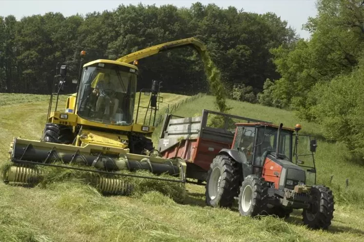 Les chantiers d’ensilage d’herbe peuvent être réalisés en Cuma