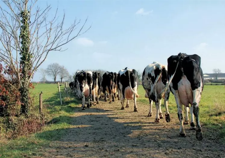 La Stratégie nationale sur la biodiversité a été proposée à la concertation le 20 juillet. Elle comprend 39 mesures à mettre en oeuvre d'ici 2030, dont certaines concernent l'agriculture.