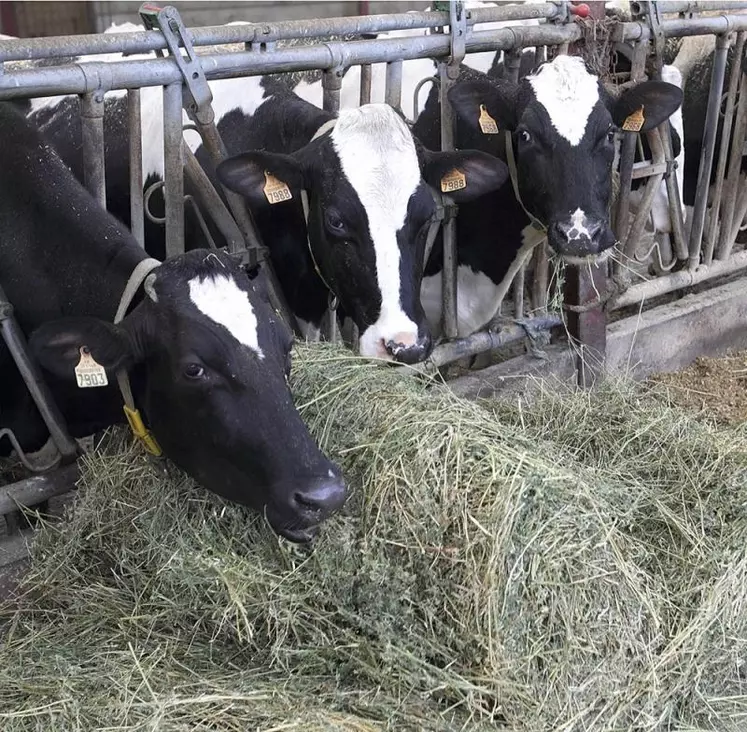 C'est à huis clos, sans déclaration publique, que les membres du gouvernement ont annoncé de premières aides d'urgence pour les agriculteurs bio susceptibles de se déconvertir.