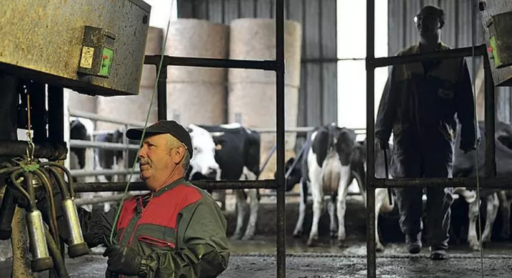 Le prix du lait payé aux producteurs ne cesse de diminuer.