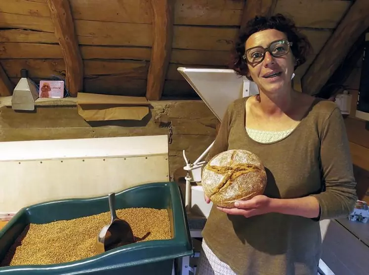 Installée depuis 2019 comme paysanne boulangère à Cultures, Nathalie Fournier voulait depuis longtemps produire son propre pain, en maîtrisant la conception de bout en bout. L'octroi de dix hectares de terres à Chapieu lui a permis de concrétiser ce projet.