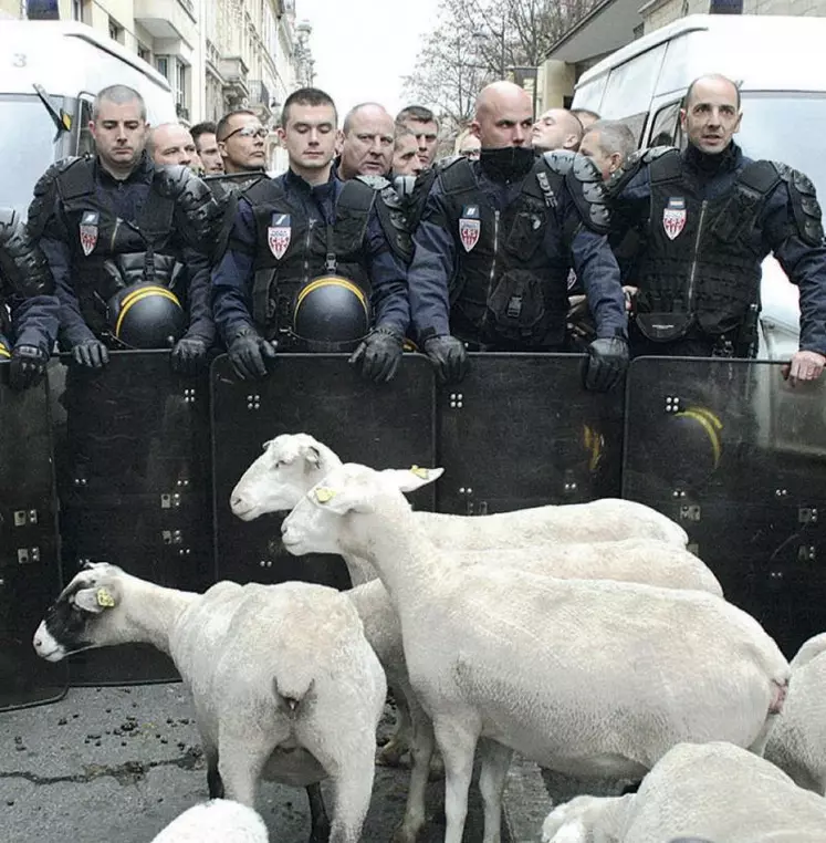 Les manifestations d’agriculteurs donnent parfois de bien étranges rencontres et les photographes ne se privent pas de les immortaliser.