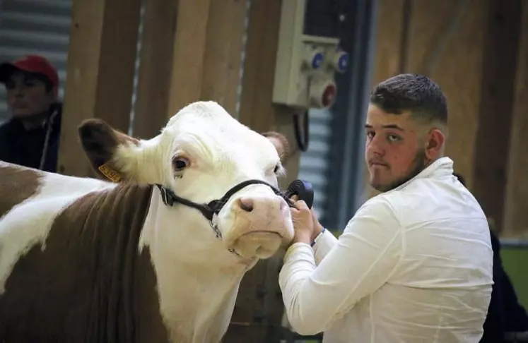 Les Journées laitières se sont déroulées du 21 au 23 avril sous la grande halle d'Aumont-Aubrac. Un concours qui a lieu tous les quatre ans et permet de confronter les élevages lozériens aux animaux de cinq autres départements (Aveyron, Puy-de-Dôme, Haute-Loire, Haute-Garonne et Cantal).