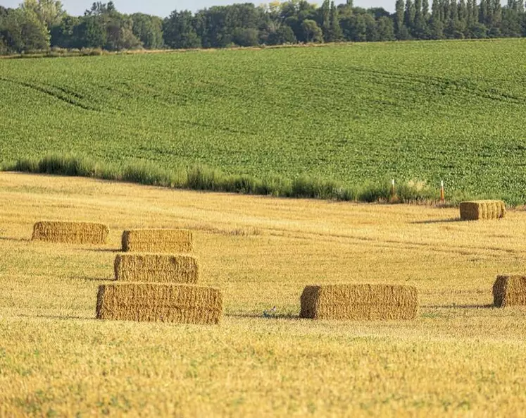 Alors que le secteur agricole européen est vivement secoué par la crise ukrainienne, la Commission européenne a soumis aux États membres de nouvelles propositions (avances sur les paiements de la Pac, aides d’États…). Les États membres en demandent plus, notamment en matière de dérogations aux obligations environnementales. En revanche, ils restent divisés concernant l’aide au stockage privé de viande porcine.