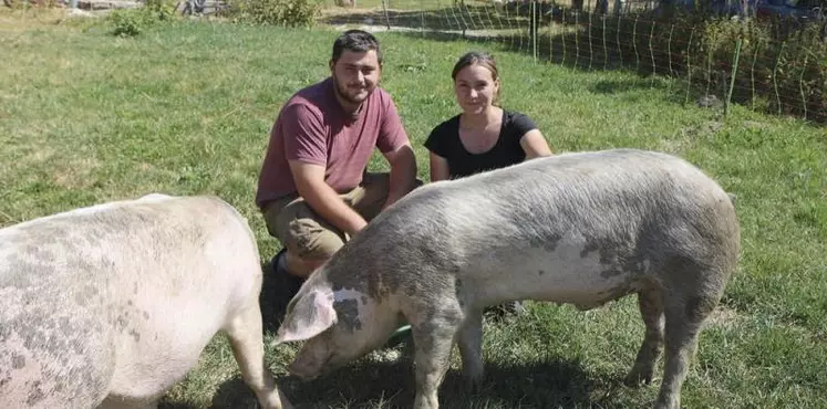 À quelques kilomètres au-dessus du Pont-de-Montvert, groins curieux de cochons et têtes placides de limousines accueillent les visiteurs du Gaec du Mont-Lozère, au cœur du pays de l’élevage d’Aubrac.