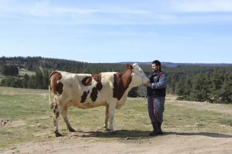 Romain Salgues et Joyeuse, du Gaec du Nord Lozère.