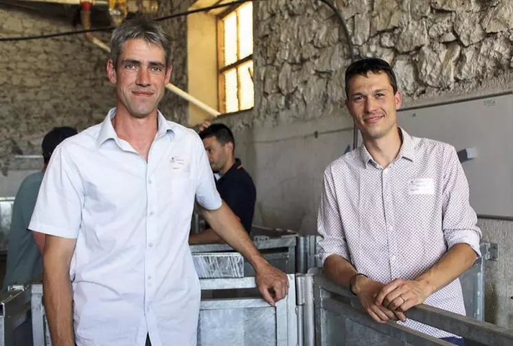 Thierry Orcière (à gauche) élève 1 400 brebis blanches du massif central sur la commune de Lezoux. À ses côtés, Christophe Guillerand, responsable de Copagno.