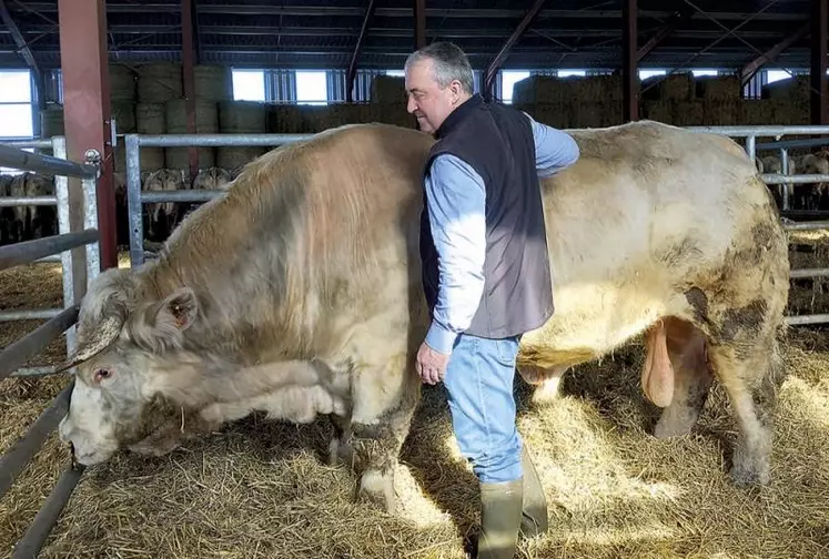 Patrick Bénézit élève des charolaises sur le Pierrefortais.