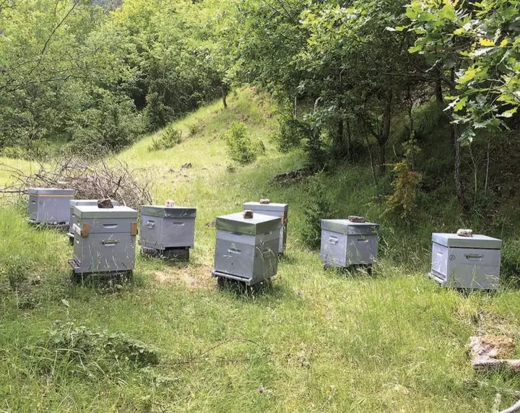 Apiculteurs et agriculteurs se sont réunis autour de la table pour discuter des pratiques que les uns et les autres pourraient adopter, afin de ne pas décimer les cheptels apicoles.