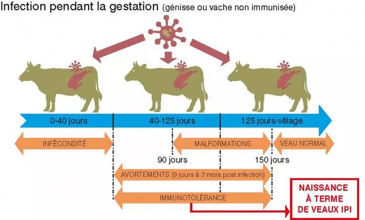 Si l’arrêté ministériel portant acte du plan est paru le 31 juillet 2019 au JO, 2020 est l’année de la systématisation du plan.