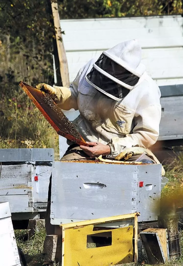  Le programme Survapi prend fin après deux années d’expérimentations sur le terrain. La chambre d’agriculture de Lozère a participé à ce projet depuis son lancement en 2018, avec la collaboration de Philippe Jaffuel, l’apiculteur qui a prêté une partie de son rucher pour mener le programme à bien.