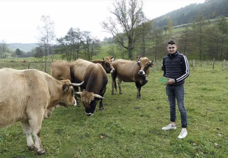 Adrien Combes exhibe fièrement la plaque de vainqueur du concours, auprès de ses vaches Aubrac, dans la prairie des Bastides.