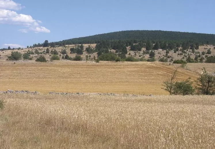 À la fin de l’été, le ministre de l’Agriculture a multiplié les aides aux agriculteurs frappés par la sécheresse, piochant dans un répertoire classique de « mesures agronomiques et financières ». Au-delà des souplesses administratives et allégements de charges, la profession espère développer le stockage de l’eau.