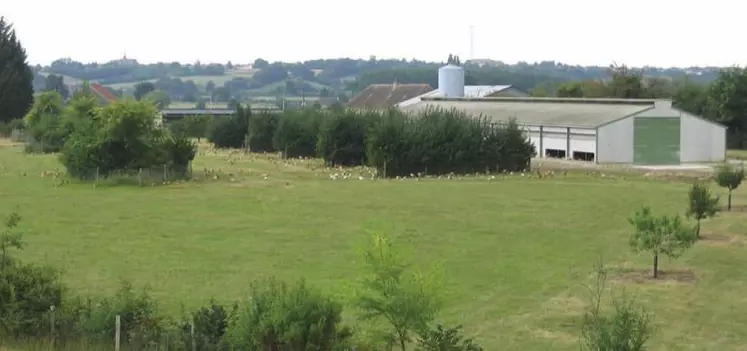 Ce bâtiment orienté Est-Ouest est entouré de différents types de haies. Au sud (à droite de la photo), une haie d’arbres de haute tige a été implantée pour fournir de l’ombre au bâtiment d’ici quelques années. Au nord, le parcours des volailles est parsemé de petites haies offrant de l’ombre aux différentes heures de la journée.