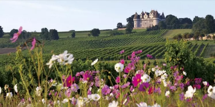 Comment se distinguer d'un voisin riche et célèbre ? Dans l'ombre du Bordelais, des vignerons décomplexés parient sur leurs spécificités, leur terroir et de nouveaux cépages.