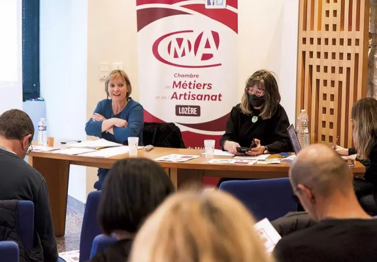 Vendredi 9 décembre, la chambre des métiers et de l'artisanat a tenu sa conférence territoriale, suivie de la remise des trophées lors de la très attendue soirée de l'artisanat.