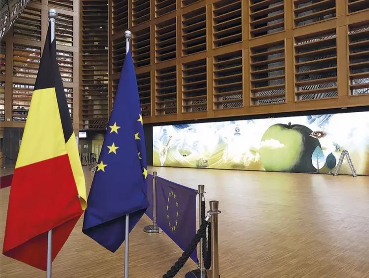 Pour les six prochains mois, les derniers avant les élections européennes de juin, la Belgique a pris la tête du Conseil de l'UE. Au niveau des négociations commerciales, des procédures de ratification devraient se finaliser tandis que des questions se posent pour l'avenir de certains pourparlers en cours.