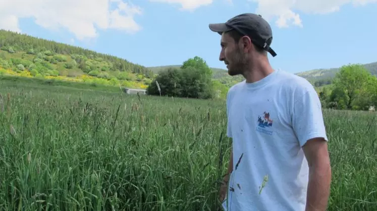 Pour Guillaume Roméro « l’autonomie fourragère est essentiel sur cette petite exploitation de montagne ».