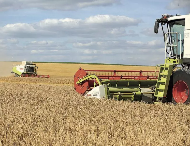 Les niveaux de consommation de céréales sont proches des niveaux de saturation dans de nombreux pays.