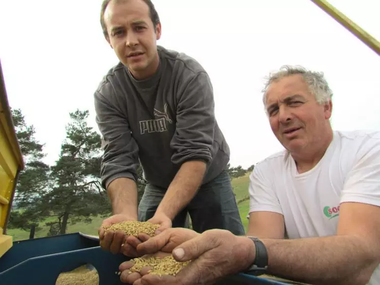 Anthony Agret et son père cultivent 50 hectares de céréales au Massegros.