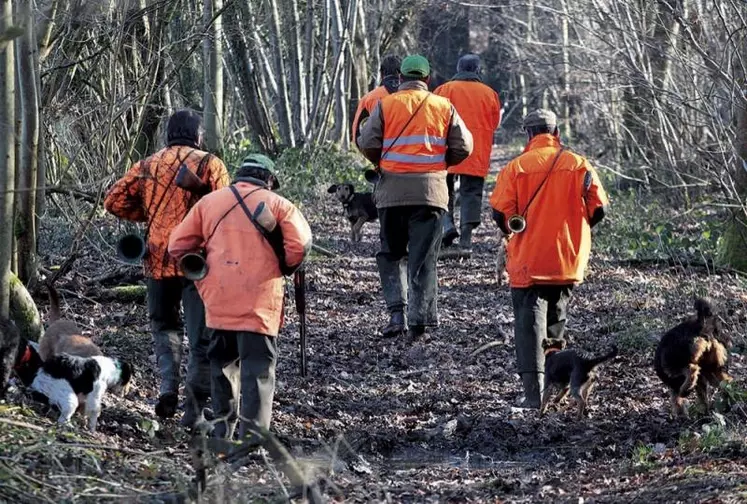 Fin novembre, des cas de trichinellose ont été signalés en Lozère par la préfecture, sur des sangliers sauvages. Explications sur ce parasite et ses conséquences sur la santé humaine.