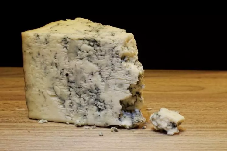 En zone Roquefort, le prix moyen du lait se maintient à 906 euros les mille litres.