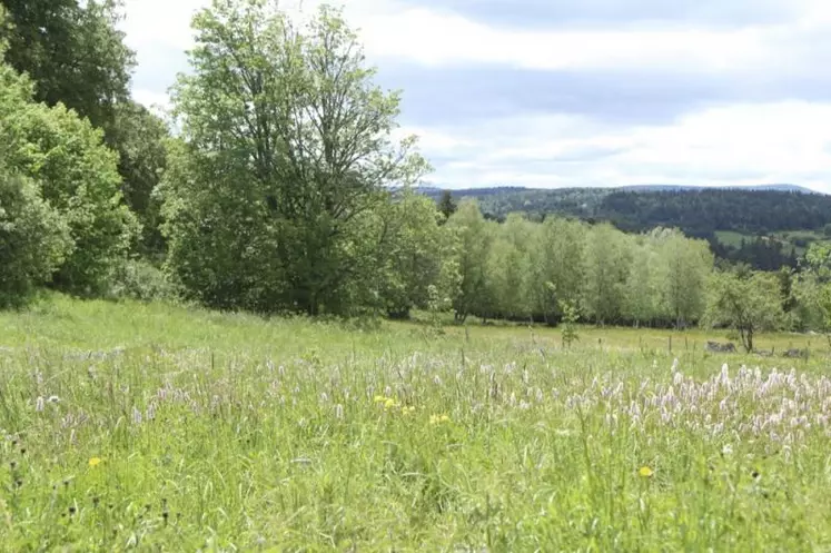 Lancés dans sept communes du parc de l'Aubrac, les atlas de la biodiversité communale fournissent des résultats encourageants sur la connaissance des espèces du territoire et des pratiques pour mieux les protéger. Bilan de trois ans d'activité.